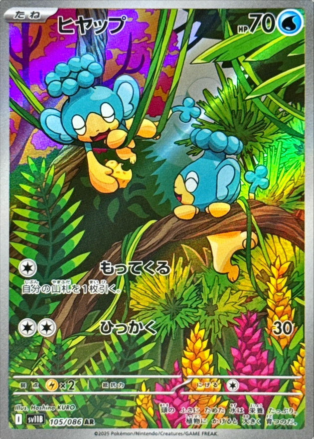 Panpour<AR>{105/086} [SV11B]