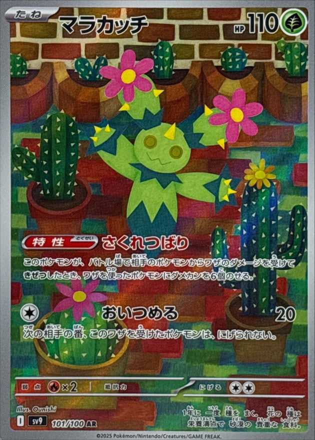 Maractus<AR>{101/100} [SV9]
