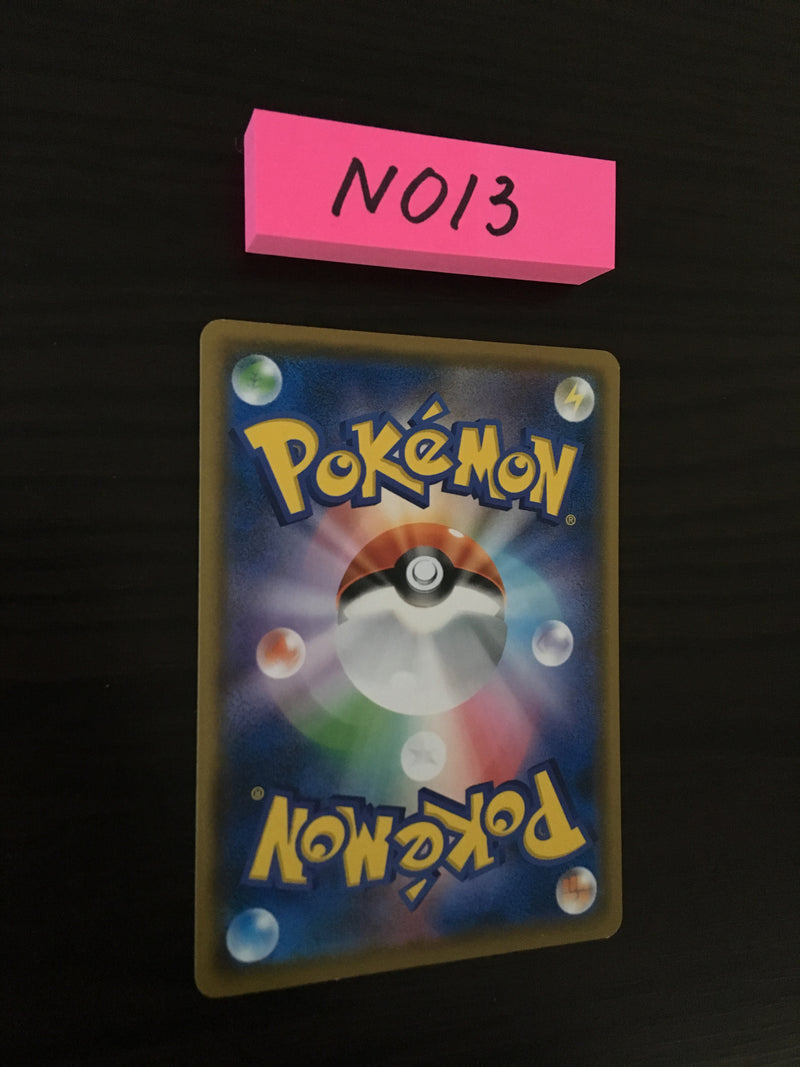 N-013 Pokemon Card  Rowlet