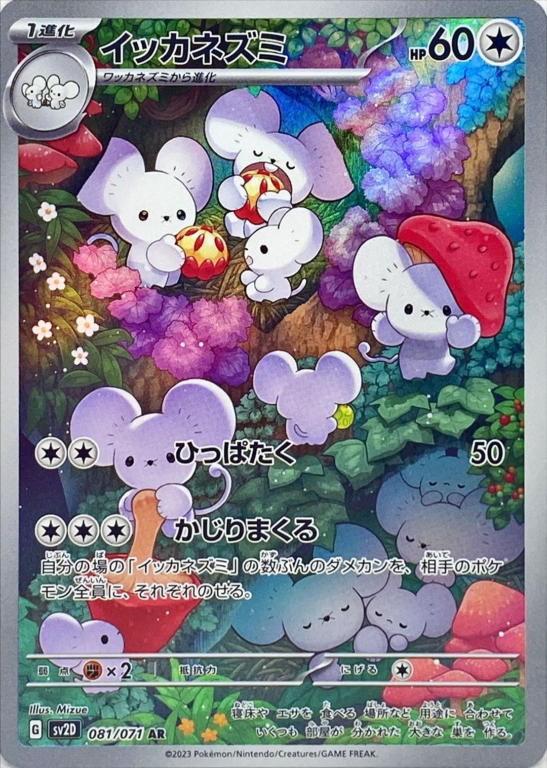 Maushold<AR>{081/071} [SV2D]