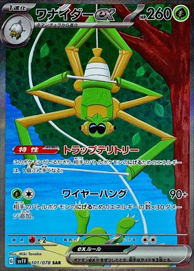 Spidops ex<SAR>{101/078} [SV1V]
