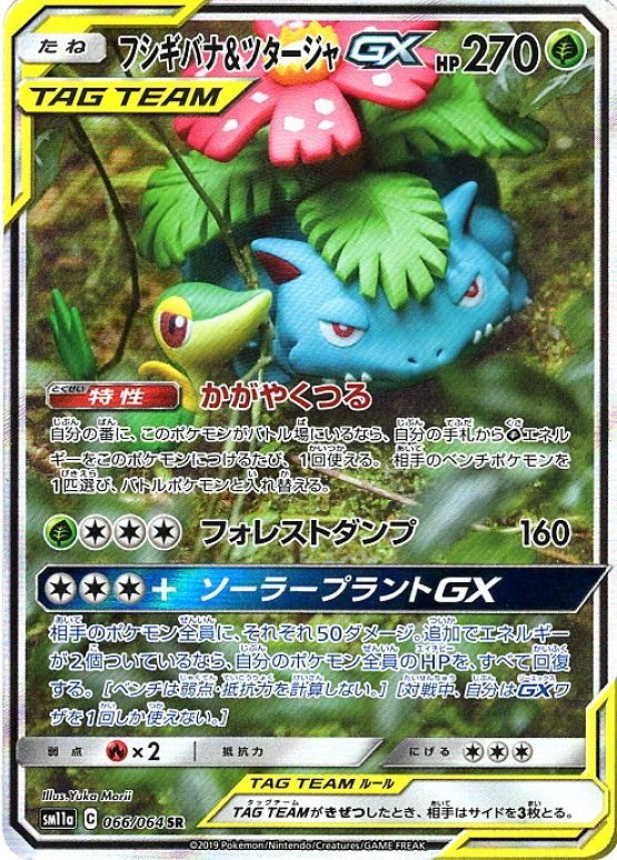 Venusaur&Snivy GX(SA)<SR>{066/064} [SM11a]